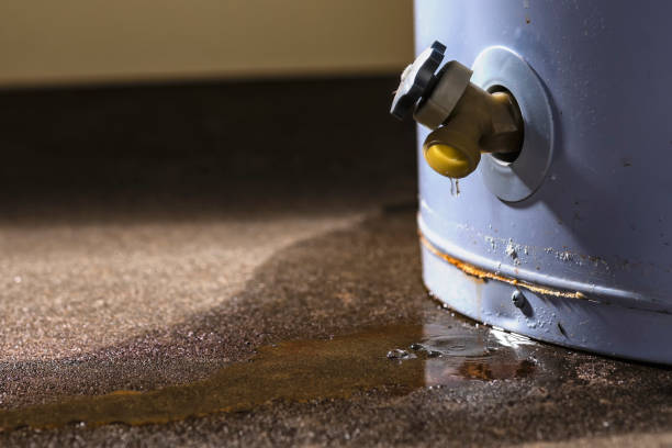 Best Sewage cleanup and water damage restoration  in East Meadow, NY