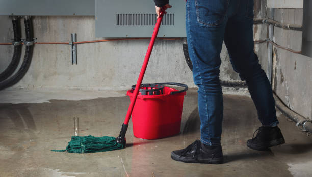 Best Flooded house restoration  in East Meadow, NY