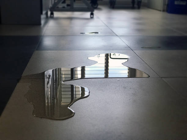 Best Water damage restoration near me  in East Meadow, NY