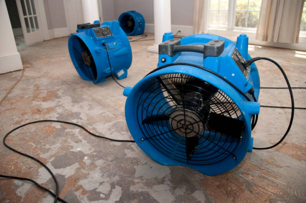 Sewage cleanup and water damage restoration in NY