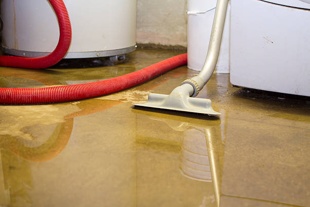 Best Local water damage restoration  in East Meadow, NY