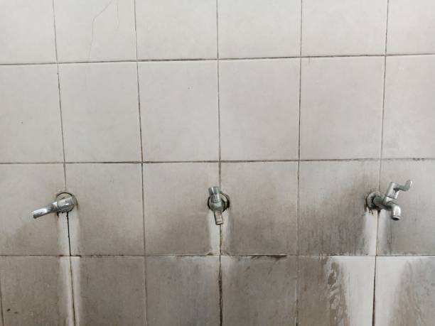 Best 24/7 water damage repair  in East Meadow, NY
