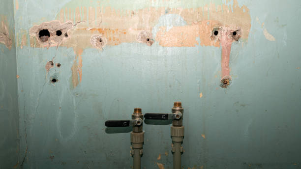 Best Fire Damage Restoration  in East Meadow, NY