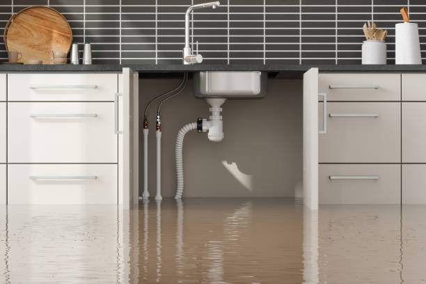 Best Water damage restoration near me  in East Meadow, NY