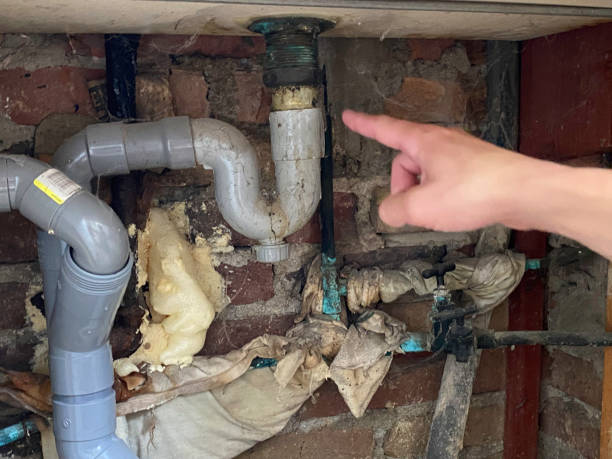 Best Water damage cleanup near me  in East Meadow, NY