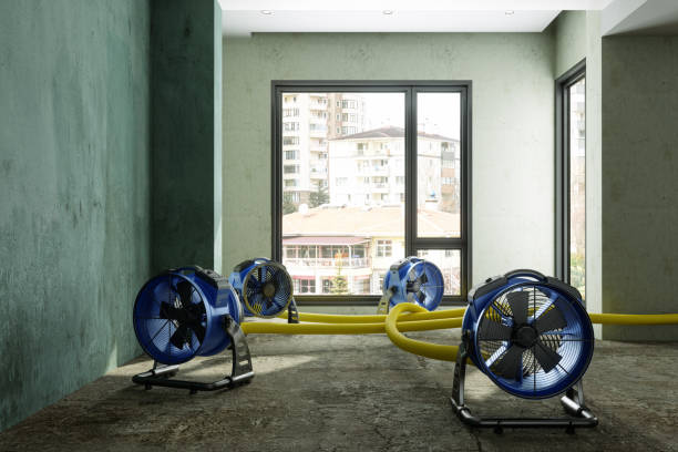 Best Water damage restoration mold remediation  in East Meadow, NY