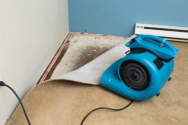 Best Flood damage cleanup  in East Meadow, NY